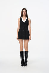 Black & White Stripe Sleeveless Pleated Dress