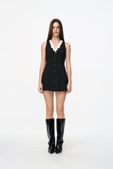 Black & White Stripe Sleeveless Pleated Dress